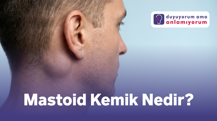Mastoid kemik nedir